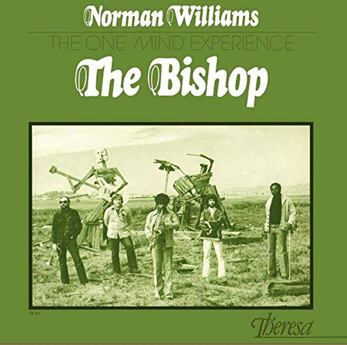 Vinyl album cover showing five musicians standing in a field with wooden sculptures.