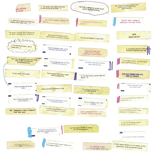 Record sleeve collage of fortune cookie-style statements with handwritten notes.
