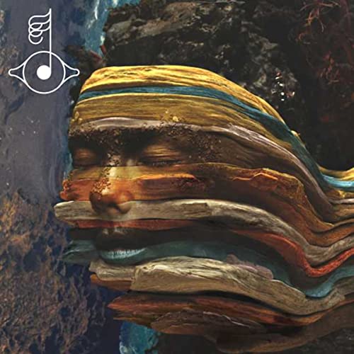 Björk’s “Bastards” vinyl album cover: layered wood forming a face.