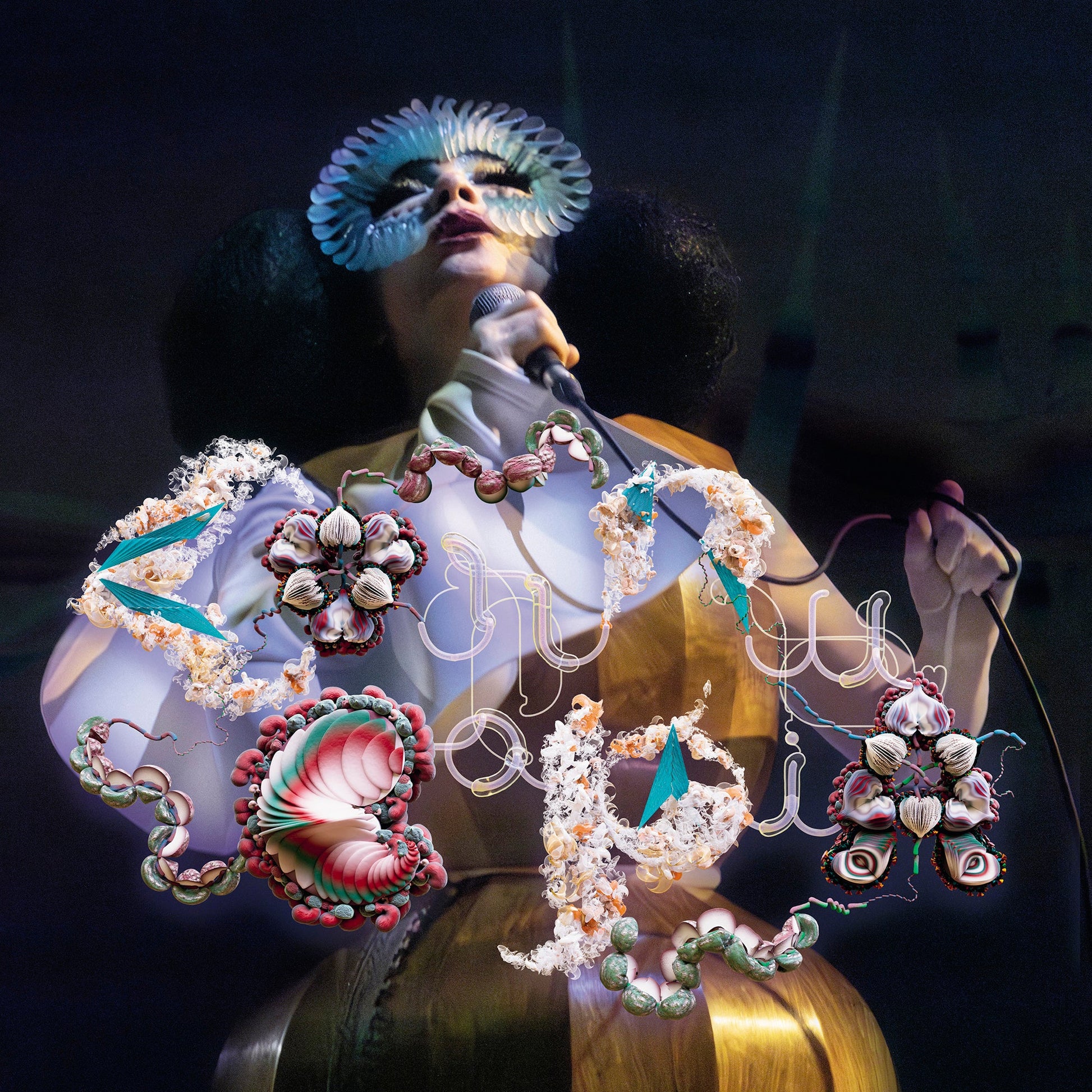 Vinyl record sleeve with Björk's name and live concert title in decorative typography.