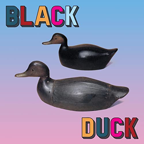 Two black wooden duck decoys on a blue and purple gradient background.