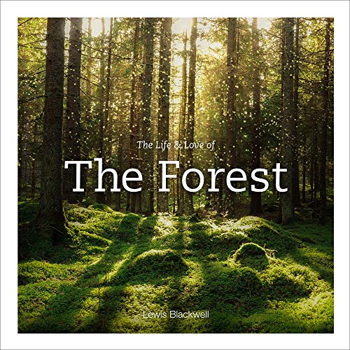 Book cover depicting a sunlit forest with mossy ground and tall trees.