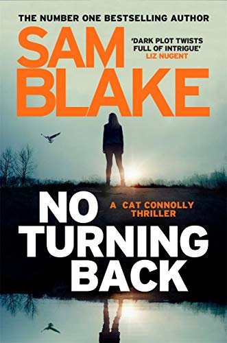 Book cover showing a silhouette of a person standing by water at sunset.