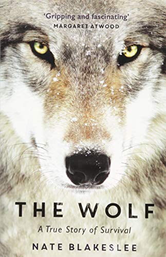 Close-up of a wolf’s face on the book cover, “The Wolf.”