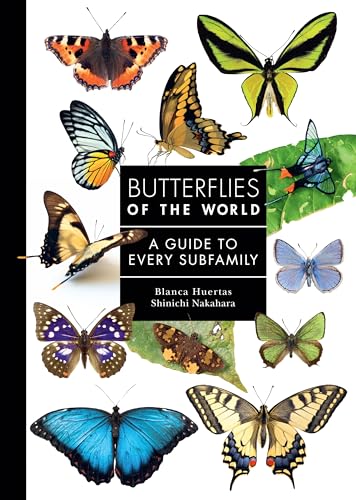 Book cover featuring diverse butterfly illustrations and the title "Butterflies of the World".