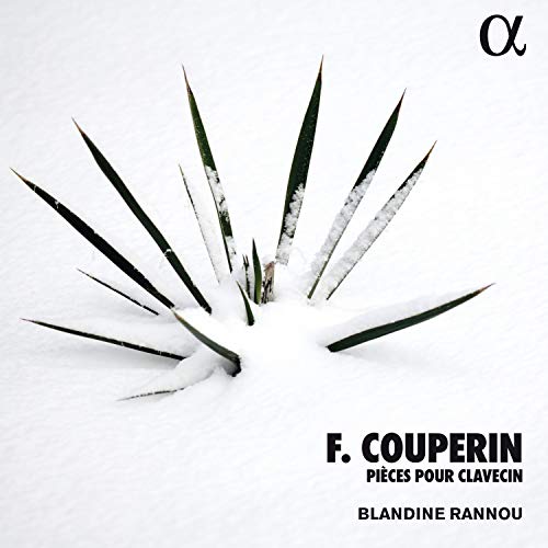 A CD cover featuring a snow-covered plant with sharp leaves and bold black text.
