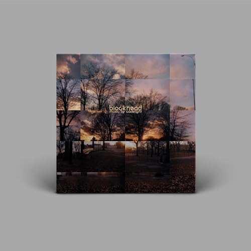 Vinyl cover featuring a grid of sunset park scenes with bare trees and text.
