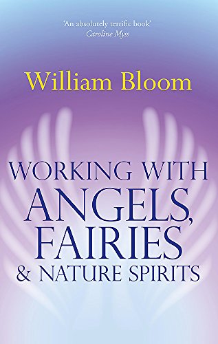 Book cover with purple and white ethereal wings, title “Working With Angels.”