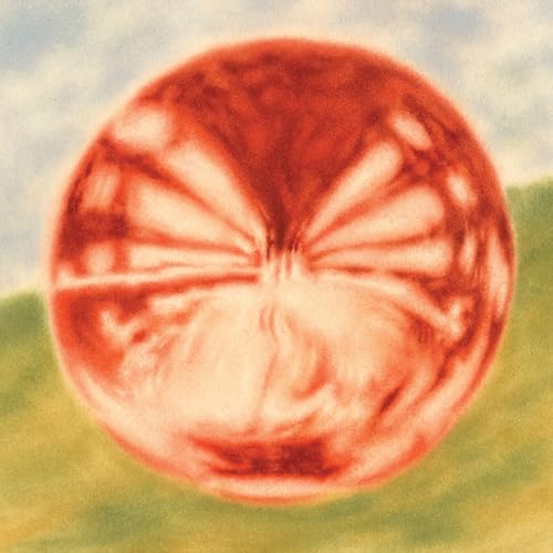 Close-up of a reddish-pink artichoke heart against a blue and green background.