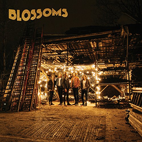 Five band members stand in a dimly lit, rustic structure illuminated by string lights.