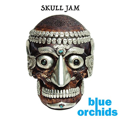 Ornate, silver-adorned skull with turquoise accents against a white background.