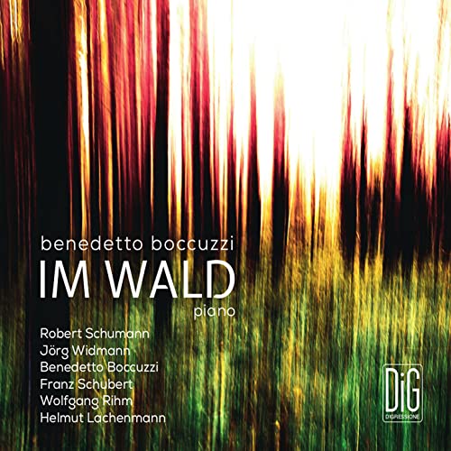 CD cover for "Im Wald" by Benedetto Boccuzzi, featuring a forest image.