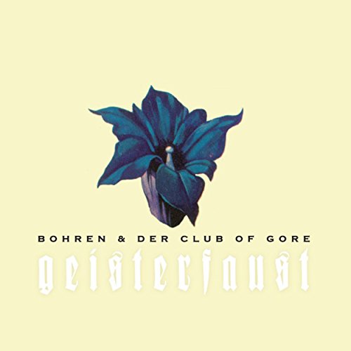 A dark blue flower on a pale yellow background with band and album text.