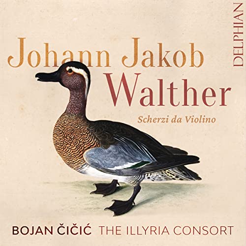CD cover featuring a detailed illustration of a male Ruddy Duck.