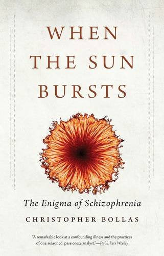Book cover: “When the Sun Bursts” with a red flower image.