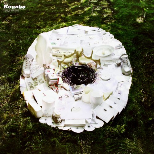 A collection of white objects and records arranged in an oval on green grass.