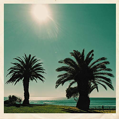 Silhouetted palm trees against a bright sun and turquoise ocean.