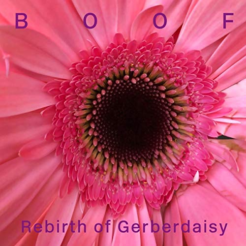 Pink gerbera daisy flower with "Boof" and album title text overlay.