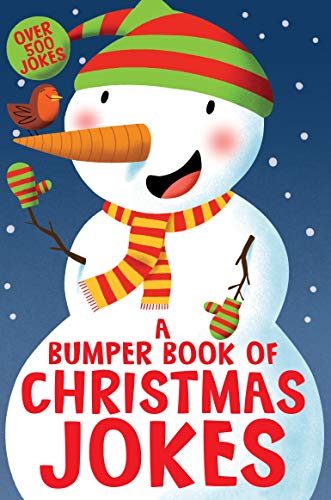 Cartoon snowman with a bird, wearing a hat and scarf, on a book cover.