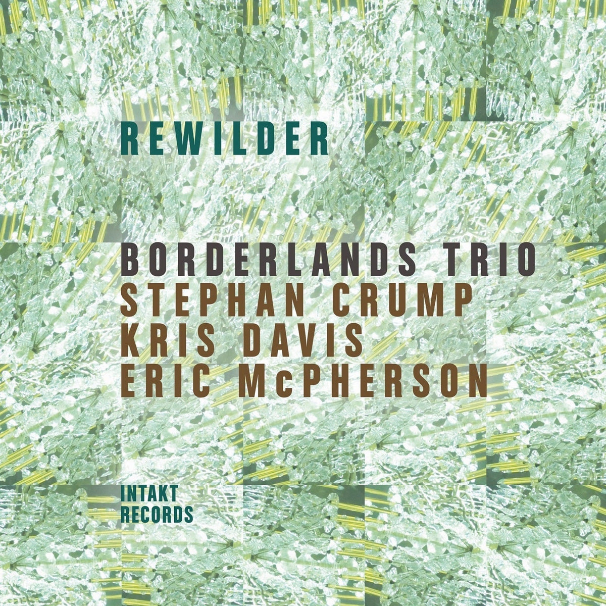 CD cover for Borderlands Trio’s “Rewilder” with green foliage design.