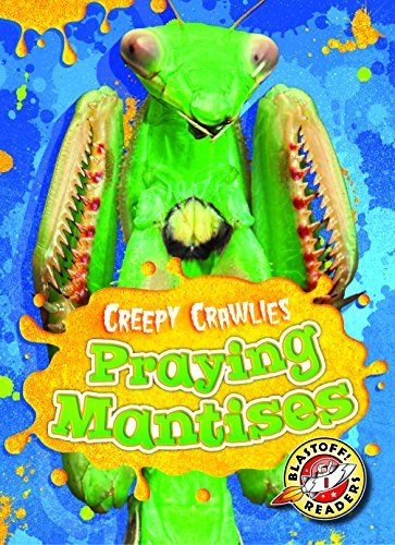 Close-up of a green praying mantis on a bright blue and yellow book cover.