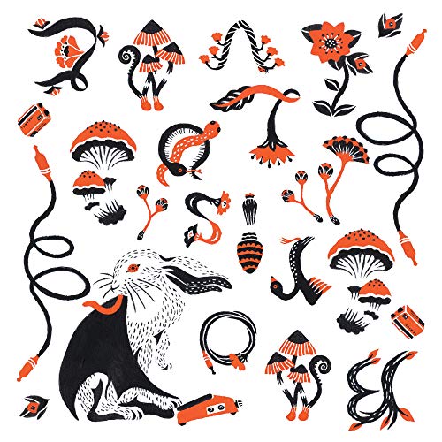 "Album cover art featuring a rabbit surrounded by flowers, mushrooms, and cords in black and orange."