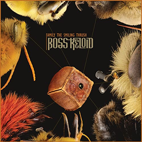 Vinyl record cover featuring magnified insect parts on a black background.