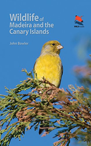 Book cover featuring a yellow bird perched on green foliage.