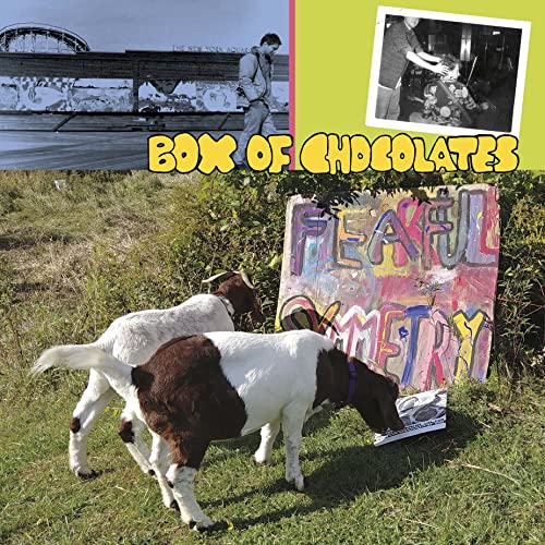 Album cover: goats in a field, graffiti, and a bridge in the background.