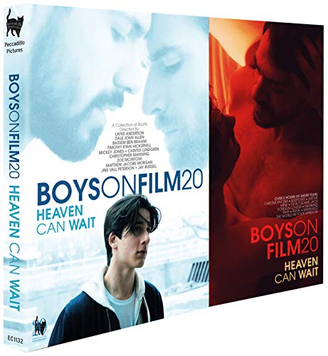 DVD cover for Boys on Film 20 featuring blue and red tinted portraits of men.