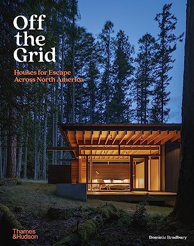 Book cover: modern cabin nestled in a dense, dark forest.
