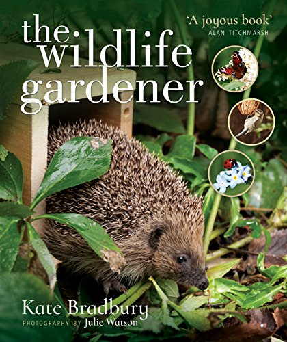 Book cover featuring a hedgehog emerging from a wooden house, with insects.