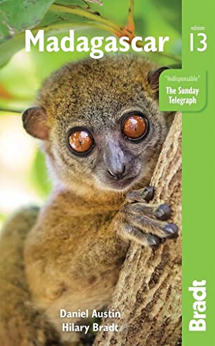Cover of "Madagascar" travel guide featuring a lemur clinging to a branch.