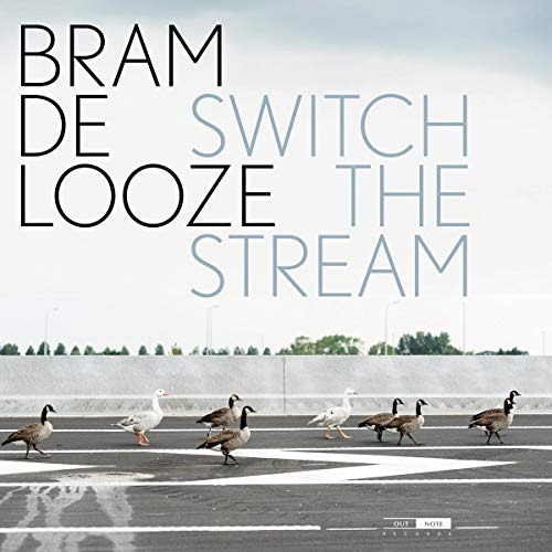 Album cover showing a line of geese walking across a paved road with text.