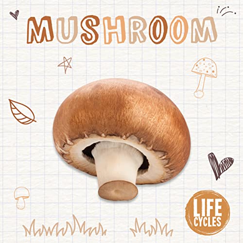 Brown mushroom illustration with doodles, part of a life cycles series.