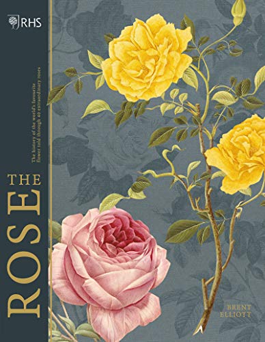 Book cover featuring yellow and pink roses on a dark blue patterned background.