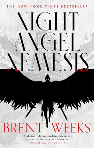 Book cover: dark figure with wings, swords, and bold title text.