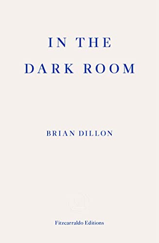 Book cover: “In The Dark Room” by Brian Dillon, dark blue text on cream.