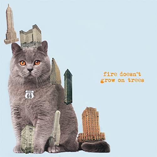 Album cover: gray cat with miniature buildings collage, orange text.