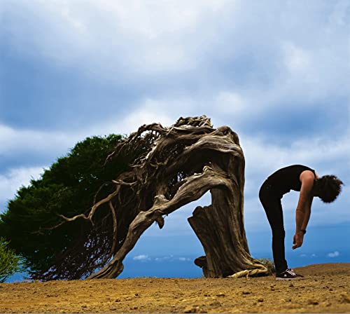 CD cover: man bending near a gnarled tree under a cloudy sky.