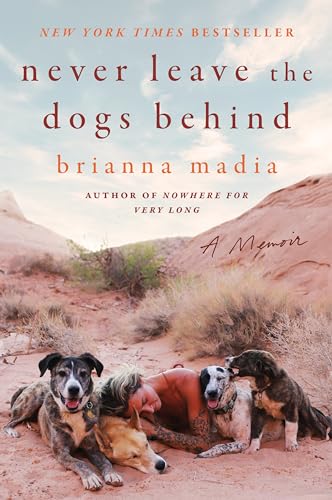 Five dogs of various breeds and colors lying together on desert terrain with mountains.