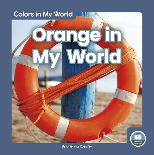 Book cover: orange life preserver against a blue wooden post.