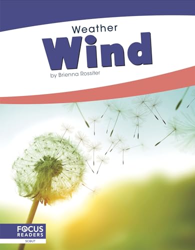 Book cover with dandelion seeds blowing in the wind.