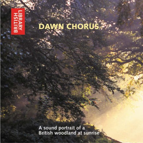 Album cover depicting tree branches silhouetted against a sunrise.