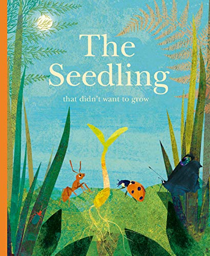 Book cover: small seedling with ants and a ladybug, illustrated style.
