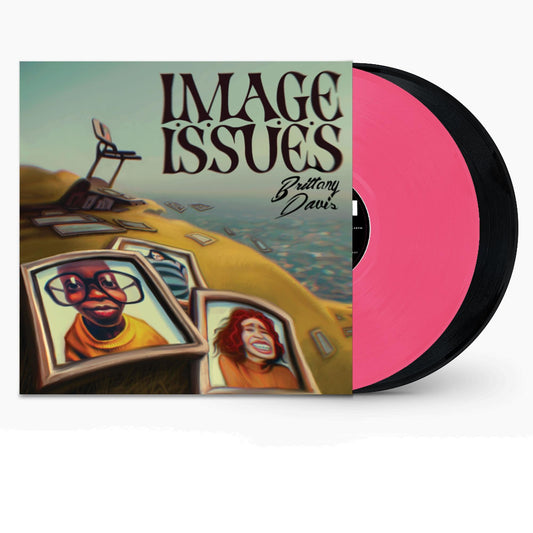 Vinyl record with cover art showing framed portraits on a hill and pink disc.