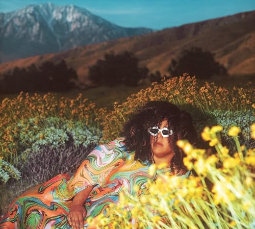 Brittany Howard lying in wildflowers with mountains in the background.