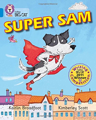 Book cover: a superhero dog flies over a town with red roofs.