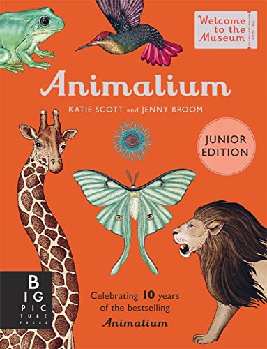 Book cover featuring illustrations of a frog, hummingbird, giraffe, moth, and lion on orange.