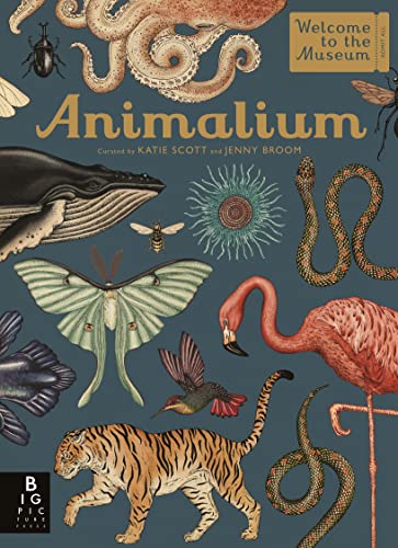Book cover featuring detailed illustrations of various animals, titled "Animalium.